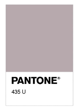 Pantone 435.png